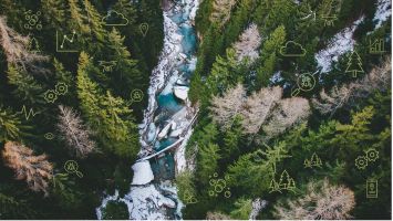 forest analytics